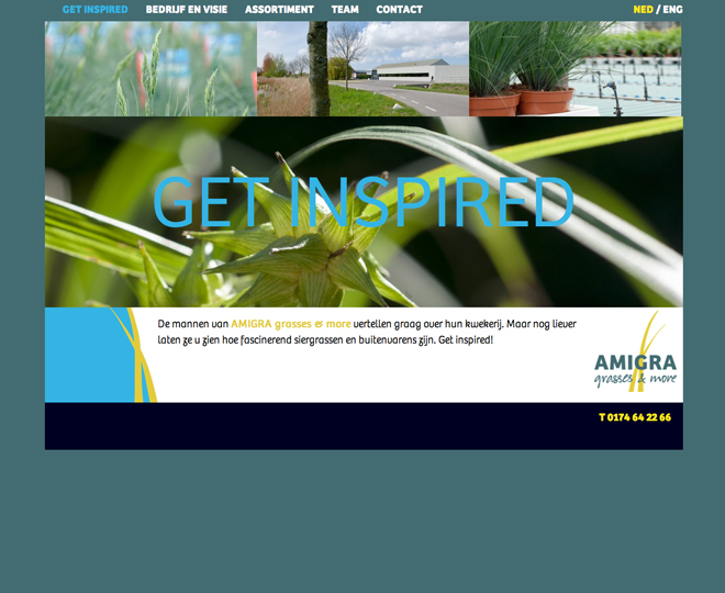 Amigra website