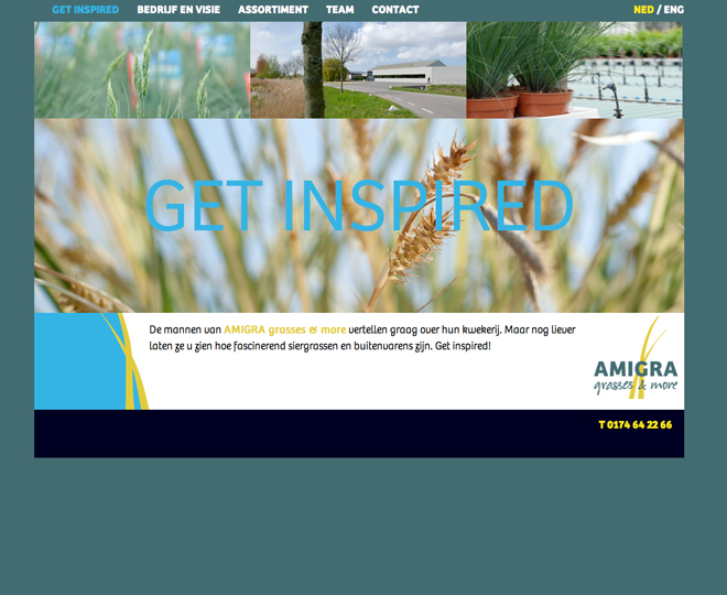 Amigra website