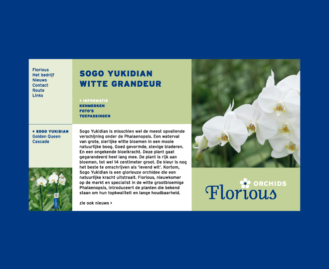 website Florious orchids