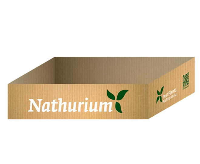 Nathurium tray